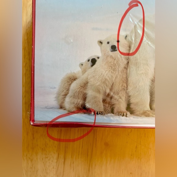⭐️BOGO//14-pack Polar Bear Christmas Cards - Picture 6 of 9